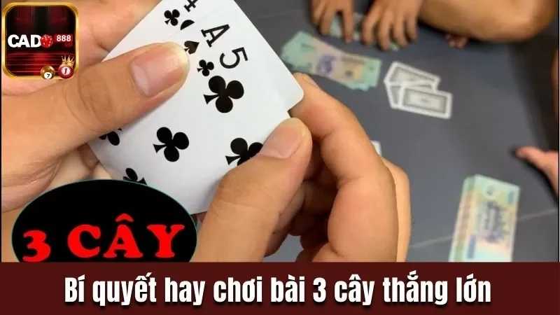 Bí quyết hay chơi bài 3 cây thắng lớn