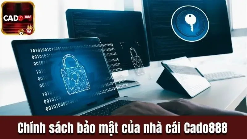 Chính sách bảo mật của nhà cái áp dụng cho phạm vi nào 