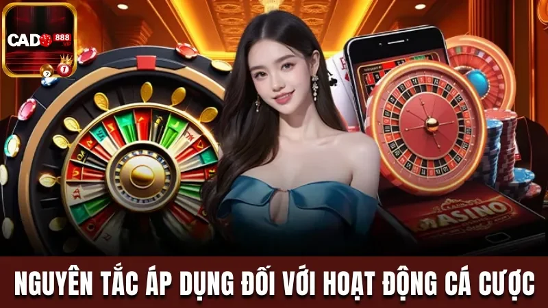 Nguyên tắc áp dụng đối với hoạt động cá cược online 