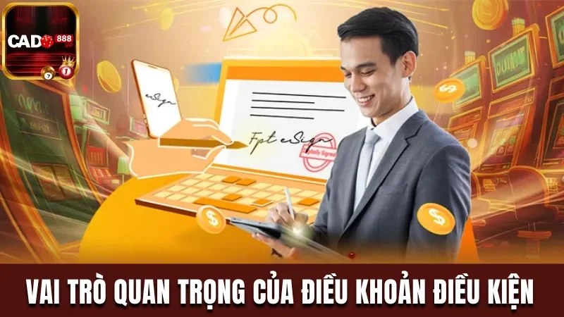 Vai trò quan trọng của chính sách điều khoản & điều kiện 